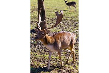 Slovakia Chata Veľké Rovné, Exterior